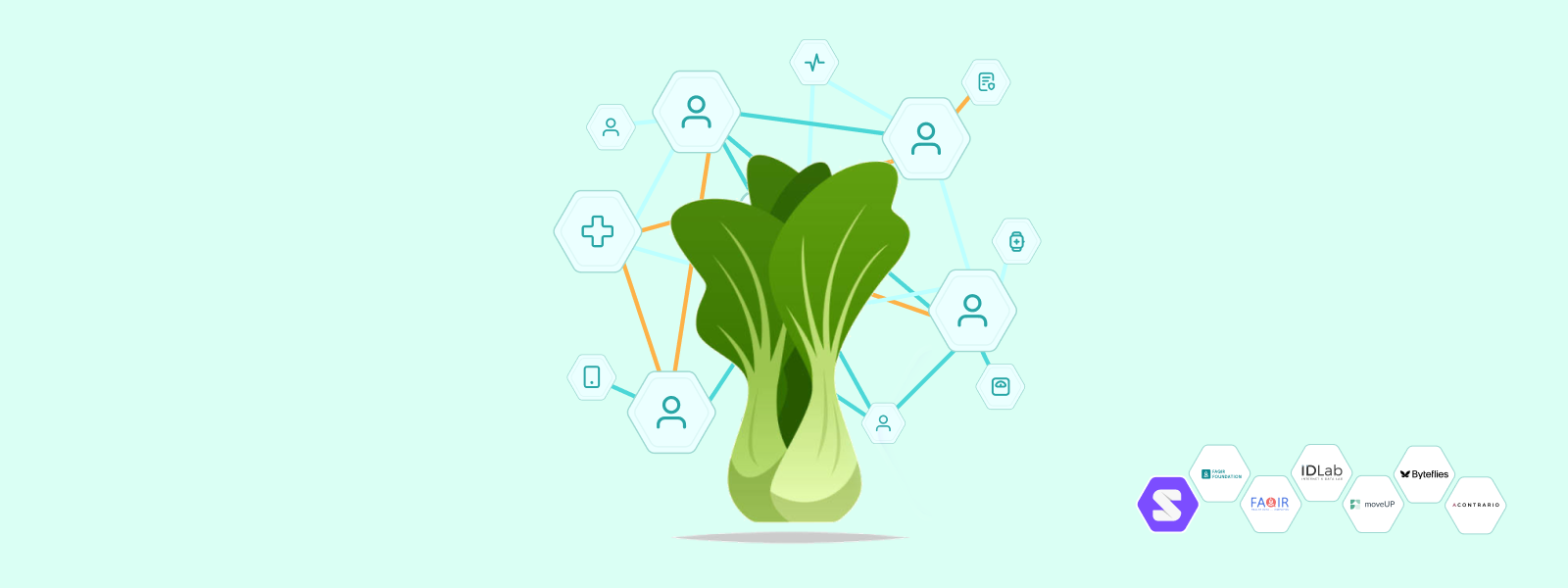 PACSOI project diagram.